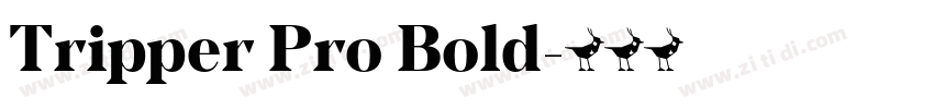 Tripper Pro Bold字体转换